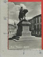 CARTOLINA NV ITALIA - ROVIGO - Monumento A Garibaldi - 10 X 15 - Rovigo