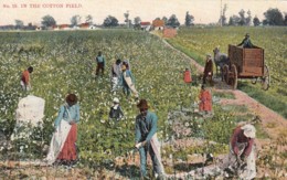 'In The Cotton Field' Black Americana Theme, African-Americans In The South, Agriculture, C1900s Vintage Postcard - Black Americana