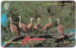 Cayman Isl. - Whistling Duck, 13CCIA, 1995, 25.000ex, Used - Kaimaninseln (Cayman I.)