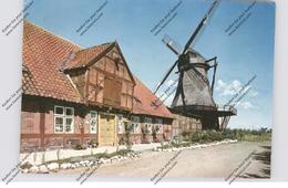 2448 FEHMARN - LEMKENHAFEN, , Mühlemuseum - Fehmarn