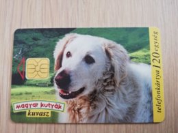 HONGARIA   120eg  CHIP CARD   Dog On Card KUVASZ     Fine Used    **1813** - Ungarn