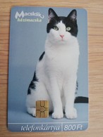 HONGARIA  800FT  CHIP CARD   CAT On Card HAZIMACSKA    Fine Used    **1816** - Ungarn