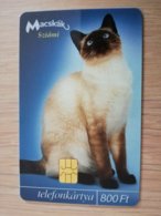 HONGARIA  800FT  CHIP CARD   CAT On Card SIAMESE     Fine Used    **1817** - Ungarn