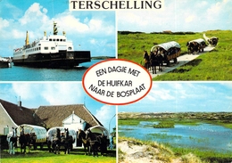 Terschelling - Multivues - Terschelling