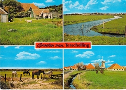 Terschelling - Multivues - Terschelling