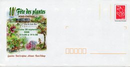 PAP PONT CHATEAU (LOIRE ATLANTIQUE) : FETE Des PLANTES 2008 - Prêts-à-poster: Repiquages /Lamouche