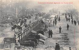 PARIS-75007- CONCOURS GENERAL AGRICOLE DE PARIS 1907 - Arrondissement: 07