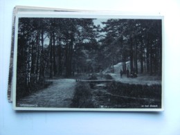 Nederland Holland Pays Bas Driebergen Met Mensen Bij Brug In Het Bos - Driebergen – Rijsenburg