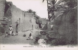 Algérie - Vieux Biskra - Une Rue De Sidi-Maleck - Biskra