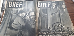 BREF 46/CONFERENCE PARIS O.N.U/BOURDAN /BIDAULT DE GAULLE /ALLEMAGNE SAINT SAUVEUR EN PUISAYE COLETTE - 1900 - 1949