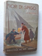 M#0W66 "Biblioteca Dei Miei Ragazzi" : C.Richter FIOR DI SPIGO Salani Ed.1937/Illustrazioni M.A.Cavalieri - Antichi