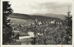 REGEN - BAYR WALD - VIAGGIATA 1960 X GORIZIA - Regen