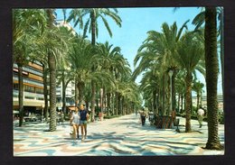 Espagne - 34 - ALICANTE - Promenade De La Explanada  - ( J. JIMENEZ  ) - Alicante