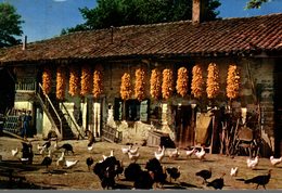 Delcampe - FERME BRESSANE 050520 - Bauernhöfe