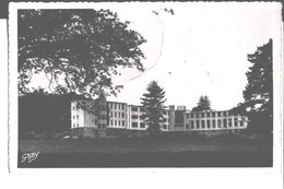 16. Carquefou. Sanatorium Du Château De Maubreuil. De Paul Letort à M. Et Mme Bohan. Edit Gaby. 1952. - Carquefou