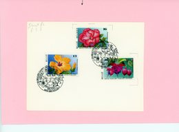 "fleur" - Floralies Gantoises - COB 2589/2591 (série Compl) Avec Cachet Spécial 1er Jour De Mise En Vente (voir Descr) - Commemorative Documents