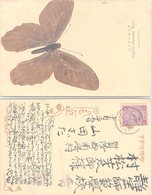 POST CARD JAPAN. BUTTERFLY - Cartas & Documentos