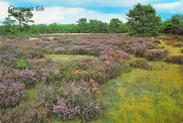 Ede - Paysage - Ede