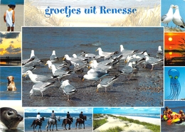 Delcampe - Renesse - Multivues - Renesse
