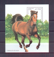 Sahara Occidental 1995 - Horses - S/Sheet - MNH** Excellent Quality - Africa (Other)