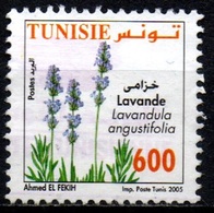 Tunisia 2005 - Lavender - Lavanda - Tunisia (1956-...)