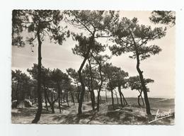 85 Vendée Noirmoutier Camping Croix Blanche La Guerinière 1956 - Ile De Noirmoutier