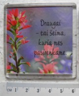 Magnet Lithuania Flowers - Sonstige & Ohne Zuordnung