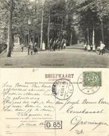 Nederland, ASSEN, Hoofdlaan Stadsbosch (1909) Ansichtkaart - Assen