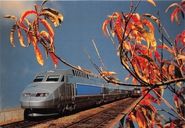 ¤¤  -  Le T.G.V. ATLANTIQUE , Le Train Le Plus Rapide Du Monde , 482.4 Km/h Le 5 Décembre 1989    -  ¤¤ - Trains