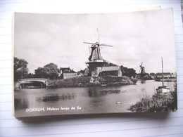 Nederland Holland Pays Bas Dokkum Met Molens Langs De Ee Mooi - Dokkum