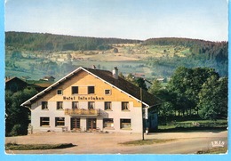 Xonrupt-Longemer (Vosges)-Hôtel Interlaken-Très Beau Cachet "Xonrupt-Longemer-Vosges*1972-Eté Comme Hiver" - Xonrupt Longemer