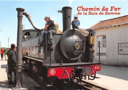 NOYELLES-sur-MER -  Chemin De Fer Touristique De La Baie De Somme - Locomotive " 130 T Haine St-Pierre N°15 VFIL " - Noyelles-sur-Mer