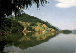 Lauerzsee 1988 (a) - Lauerz