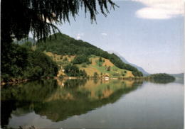 Lauerzsee 1988 (b) - Lauerz