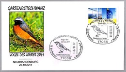 COLIRROJO REAL - Common Redstart - Gartenrotschwanz. Ph.phoenicurus. Neubrandenburg 2011 - Mechanical Postmarks (Advertisement)