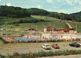 ARBOIS LA PISCINE - Arbois