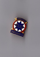 Pin's Amicale De La Police De Chateauroux (EGF Doré) Hauteur: 2.6 Cm - Police