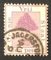 Albero Di Arance - Orange Tree - Stato Libero Dell'Orange (1868-1909)