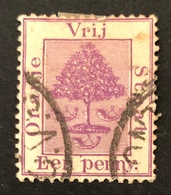 Albero Di Arance - Orange Tree - État Libre D'Orange (1868-1909)
