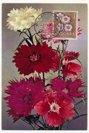 ANDORRE => Carte Maximum - 1pta "Chinese Pink" 4 Fev 1967 - Storia Postale