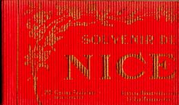 Souvenir De Nice : Carnet Complet De 20 Cartes - Lotti, Serie, Collezioni
