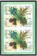 Russia 2013 . Cones And Shrubs. Sheetlet Of 8 (2 Sets).   Michel # 1914-17  KB - Ungebraucht