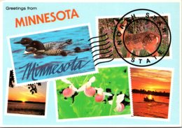 Minnesota St Paul Greetings From The North Star State Multi VIew - St Paul