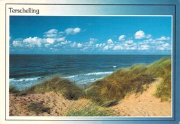 Terschelling - La Mer Et La Côte - Terschelling