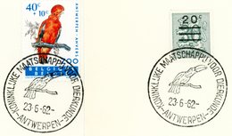 Thema "oiseau" - Zoo D'Anvers : Cob 1216 Avec Cachet Spécial De Prévente "Antwerpen 23-6-1962" Avec Dessin (voir Scan) - Gedenkdokumente