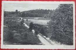 Doorn - Kaapse Bos - Gelopen 1942 - Doorn