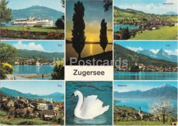 Zugersee - Zug - Walchwil - Immensee - Arth - Swan - Birds - Schiffahrtsgesellschaft Seal - 1980 - Switzerland - Used - Walchwil