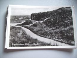 Nederland Holland Pays Bas Schiermonnikoog Met Schelpenpad 2e Dennen - Schiermonnikoog