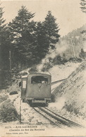 Chemin De Fer Du Revard  Train Beau Plan  . Près Aix Les Bains . Avant 1903 - Treinen