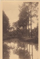 Postkaart/Carte Postale BEERSEL - La Senne (B136) - Beersel